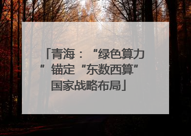 青海：“绿色算力”锚定“东数西算”国家战略布局