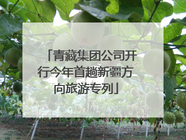 青藏集团公司开行今年首趟新疆方向旅游专列