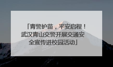青警护苗，平安启程！武汉青山交警开展交通安全宣传进校园活动