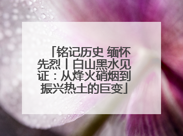 铭记历史 缅怀先烈丨白山黑水见证：从烽火硝烟到振兴热土的巨变