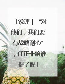 锐评｜“对他们，我们要有战略耐心”，任正非给谁提了醒