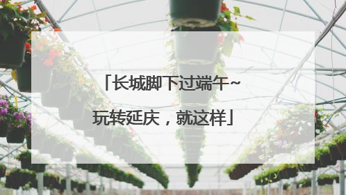 长城脚下过端午~玩转延庆，就这样