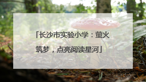 长沙市实验小学：萤火筑梦，点亮阅读星河