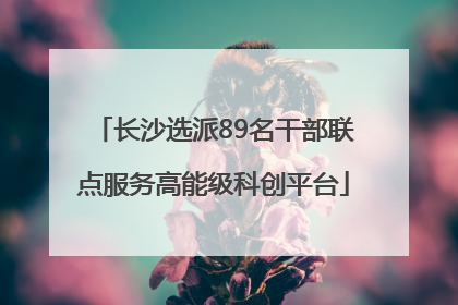 长沙选派89名干部联点服务高能级科创平台