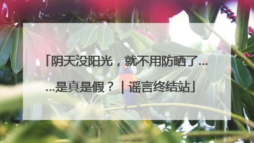 阴天没阳光，就不用防晒了……是真是假？｜谣言终结站