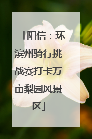 阳信：环滨州骑行挑战赛打卡万亩梨园风景区