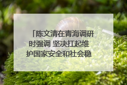 陈文清在青海调研时强调 坚决扛起维护国家安全和社会稳定职责使命 为谱写中国式现代化青海篇章贡献政法力量
