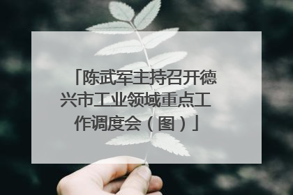 陈武军主持召开德兴市工业领域重点工作调度会（图）