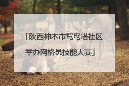 陕西神木市鸳鸯塔社区举办网格员技能大赛