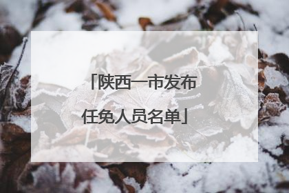 陕西一市发布任免人员名单