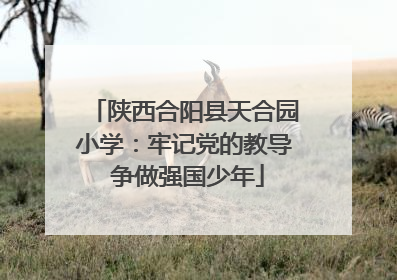 陕西合阳县天合园小学:牢记党的教导 争做强国少年