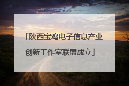 陕西宝鸡电子信息产业创新工作室联盟成立