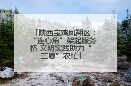 陕西宝鸡凤翔区：“连心角”架起服务桥 文明实践助力“三夏”农忙