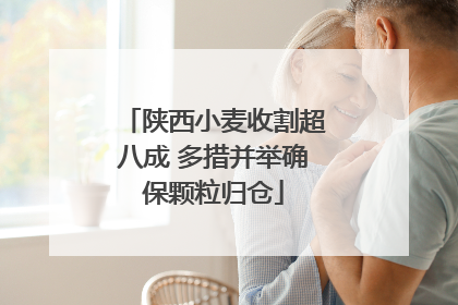 陕西小麦收割超八成 多措并举确保颗粒归仓