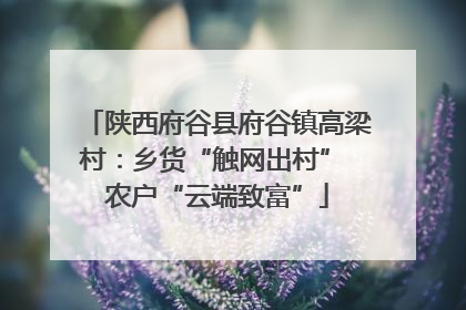 陕西府谷县府谷镇高梁村：乡货“触网出村” 农户“云端致富”