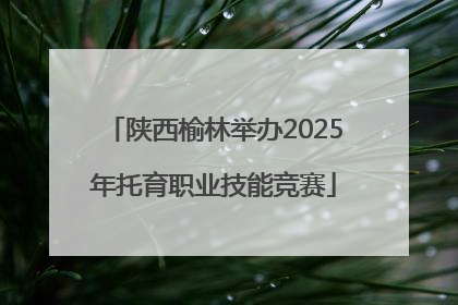 陕西榆林举办2025年托育职业技能竞赛