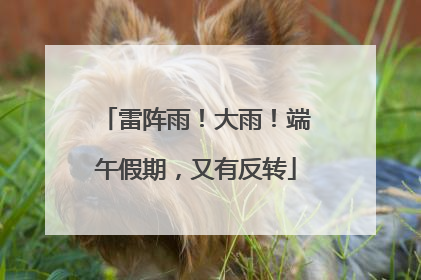 雷阵雨！大雨！端午假期，又有反转