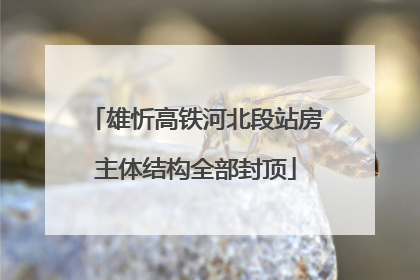 雄忻高铁河北段站房主体结构全部封顶