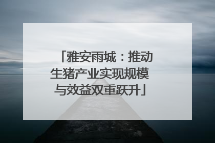 雅安雨城：推动生猪产业实现规模与效益双重跃升