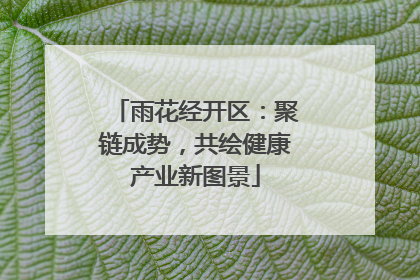 雨花经开区：聚链成势，共绘健康产业新图景