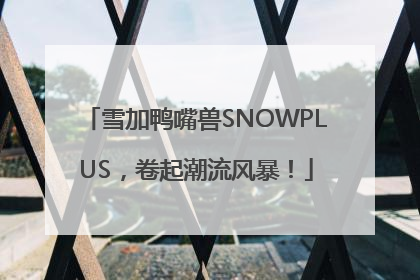 雪加鸭嘴兽SNOWPLUS，卷起潮流风暴！