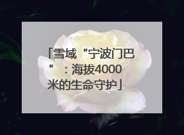 雪域“宁波门巴”：海拔4000米的生命守护