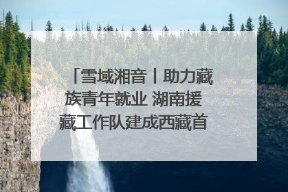 雪域湘音丨助力藏族青年就业 湖南援藏工作队建成西藏首个清洁能源装备园