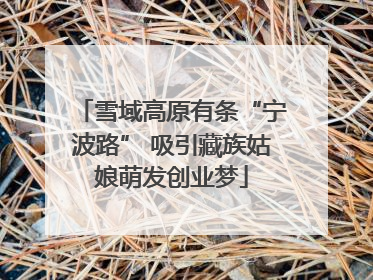 雪域高原有条“宁波路” 吸引藏族姑娘萌发创业梦