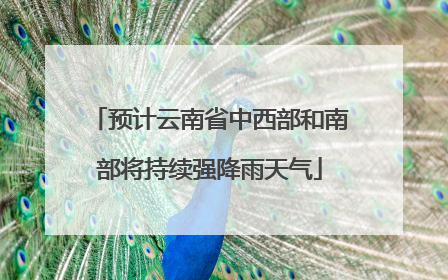 预计云南省中西部和南部将持续强降雨天气