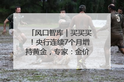 风口智库｜买买买！央行连续7个月增持黄金，专家：金价或仍易涨难跌
