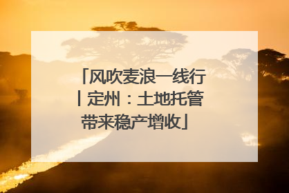风吹麦浪一线行丨定州：土地托管带来稳产增收