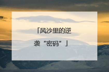 风沙里的逆袭“密码”