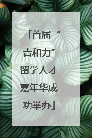 首届“青和力”留学人才嘉年华成功举办
