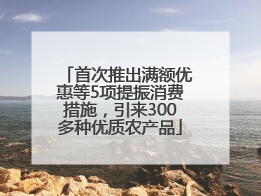 首次推出满额优惠等5项提振消费措施，引来300多种优质农产品