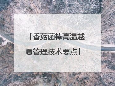香菇菌棒高温越夏管理技术要点