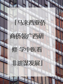 马来西亚侨商侨领广西研修 学中医看非遗谋发展