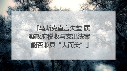 马斯克直言失望 质疑政府税收与支出法案能否兼具“大而美”