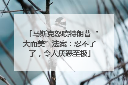 马斯克怒喷特朗普“大而美”法案：忍不了了，令人厌恶至极