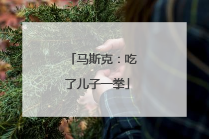 马斯克：吃了儿子一拳