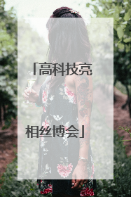 高科技亮相丝博会