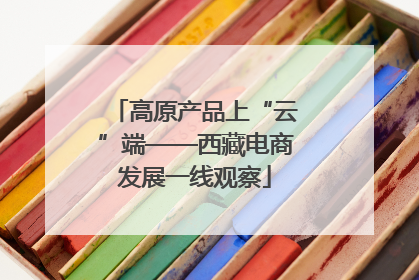 高原产品上“云”端——西藏电商发展一线观察