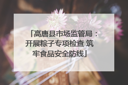 高唐县市场监管局：开展粽子专项检查 筑牢食品安全防线