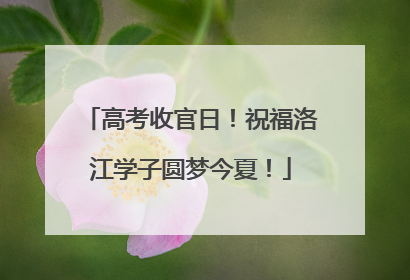 高考收官日！祝福洛江学子圆梦今夏！
