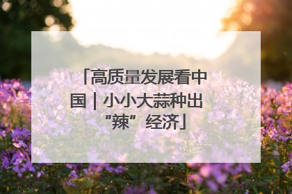 高质量发展看中国｜小小大蒜种出“辣”经济