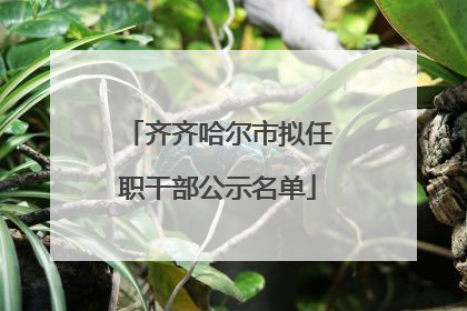 齐齐哈尔市拟任职干部公示名单