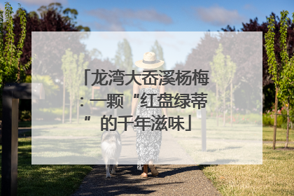 龙湾大岙溪杨梅：一颗“红盘绿蒂”的千年滋味