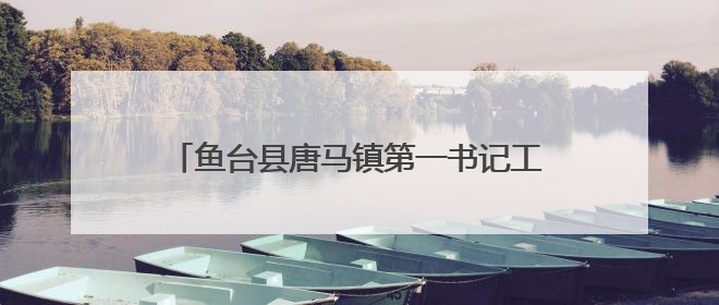鱼台县唐马镇第一书记工作队助力“三夏生产”
