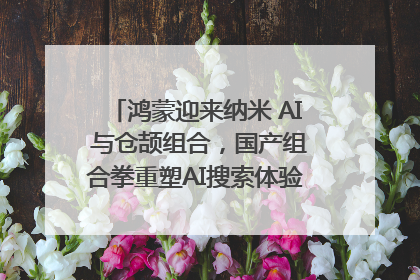 鸿蒙迎来纳米 AI 与仓颉组合，国产组合拳重塑AI搜索体验｜新经济观察