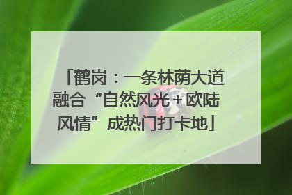 鹤岗：一条林荫大道融合“自然风光＋欧陆风情”成热门打卡地