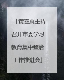 黄喜忠主持召开市委学习教育集中整治工作推进会
